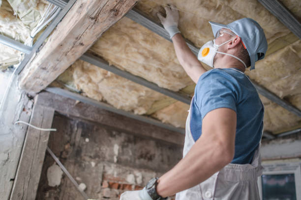 Best Insulation Maintenance and Repair in Highlands Ranch, CO